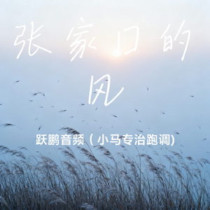 张家口的风