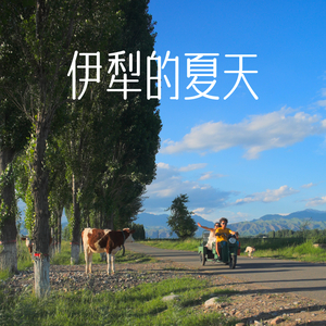 伊犁的夏天