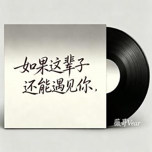 如果这辈子还能遇见你