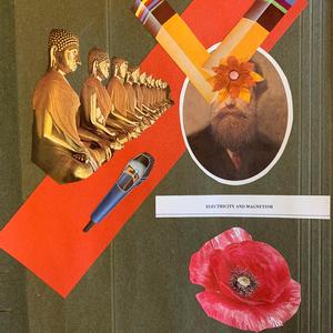 Phantastik New Plant