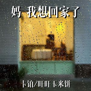 妈 我想回家了