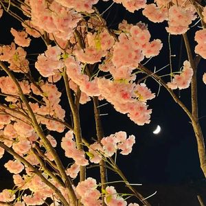 回不去的何止时间