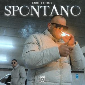 Spontano (feat. MihaMih)
