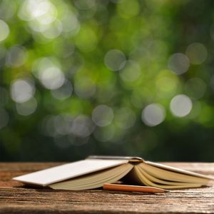 夏至时蝉鸣如海