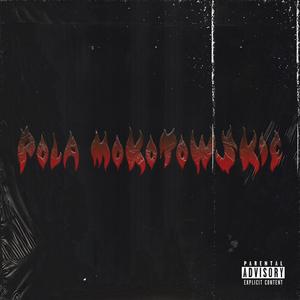 Pola Mokotowskie (feat. wavyzien)