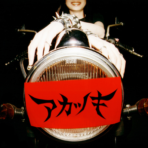 ハナっから考えちゃぁいなかったのさ