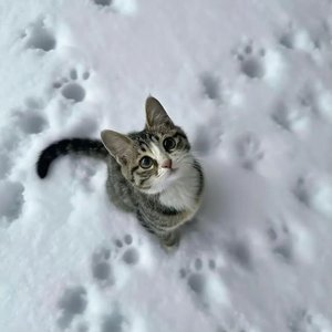 剪辑-我们途径一场永恒 0421.wav