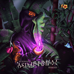 Los Pajaros (Humano Remix)