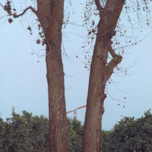 in