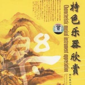 美丽的金孔雀 (葫芦丝独奏)