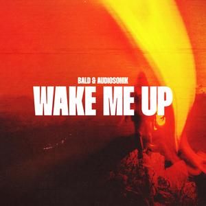 Wake Me Up