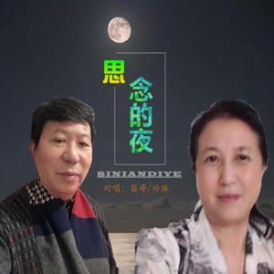 思念的夜 （对唱）