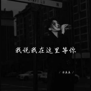 我说我在这里等你