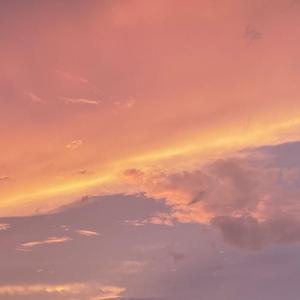 离骚（易烊千玺版）