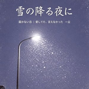 雪の降る夜に
