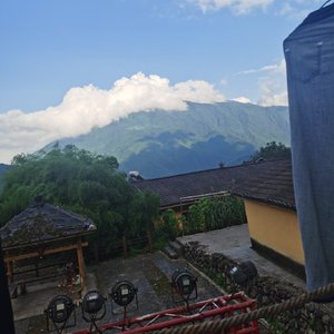 无人认领的真相