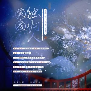 寒夜独归人(纯歌版)