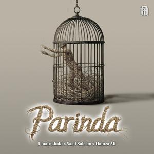 Parinda (feat. Saad Saleem & Hamza Ali)