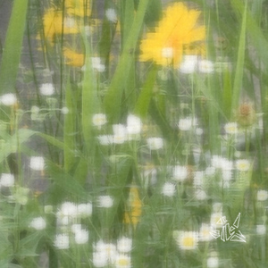 그대로 좋은 날