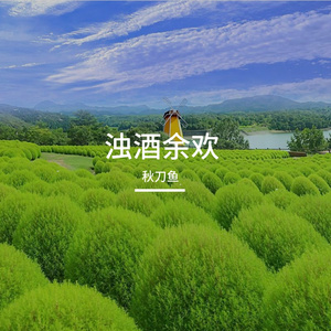岁月静好难
