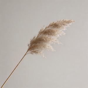 和解（步步是遗憾步步是叹息）