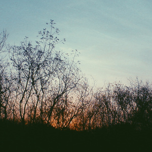 Arranquemos de la lluvia (remix)