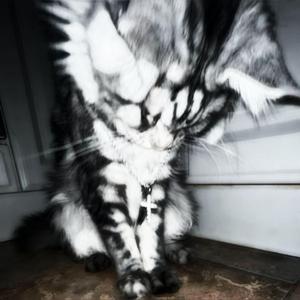 Offering (feat. chris Everett)