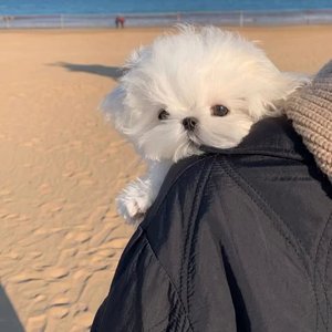 水利万物而不争