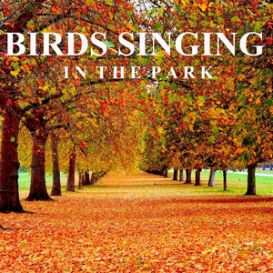 Birds Singing in a Urban Park (Part 44)