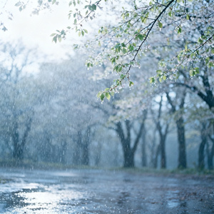 像春天第一场雨