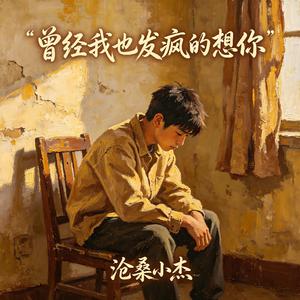 曾经我也发疯的想你