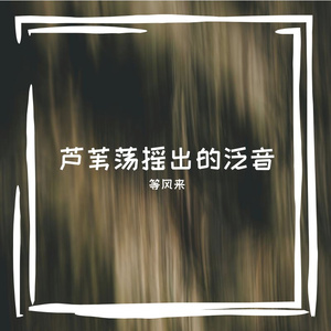 芦苇荡摇出的泛音