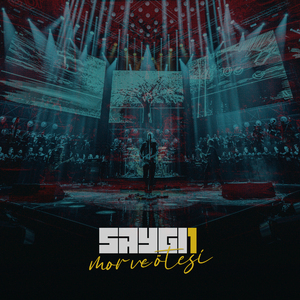 Küçük Sevgilim (Saygi1)