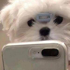 流星雨又来临（翻唱）