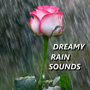 Illuminative Moonlit Rain Sounds