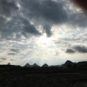 magnolia+说句实话