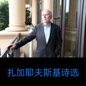 真相（扎加耶夫斯基，冬至 译）.mp3