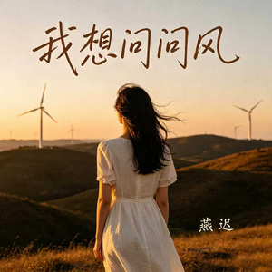 我想问问风