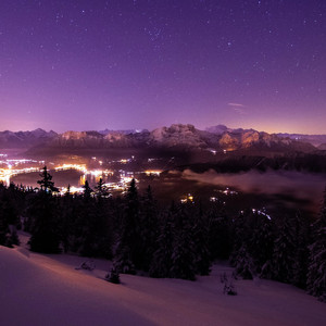 野火春风奏响生命之歌