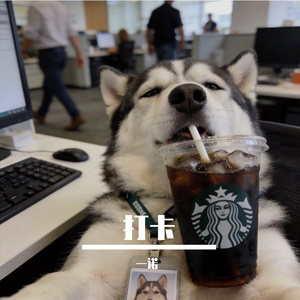 打卡