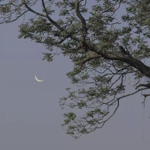 A Story About Rebirth (Demo)