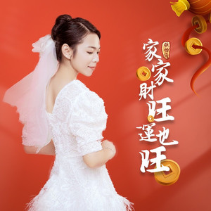 家家财旺运也旺 (DJ月之歌版)