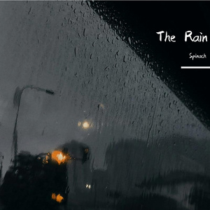 The Rain (Spanich Vina House Bootleg)