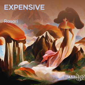 Expensive