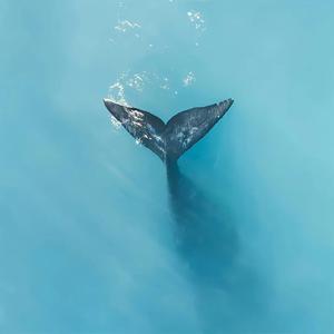 刘好好-武家坡（刘好好 remix）