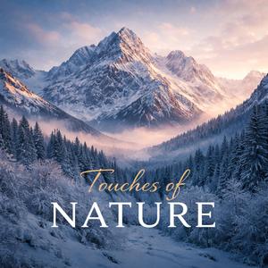 Forest Heart (Theta 4Hz for deep inner calm)