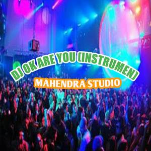 DJ OK ARE YOU READI (ISN)