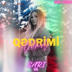 Qedrimi Bilmedi (Remix)