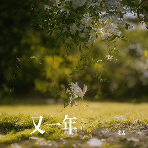 又一年