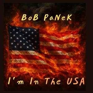 I'm In The USA